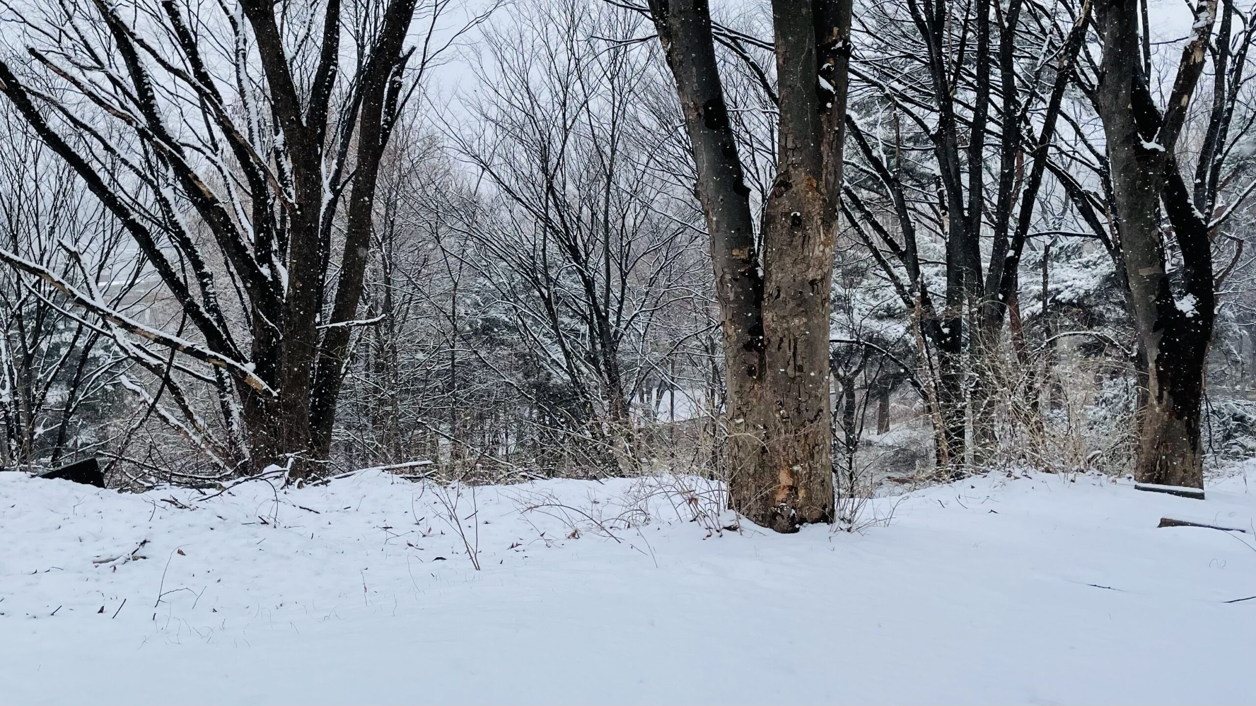 韓国に来て困ったこと、良かったことなどをまとめてみました。（韓国生活）