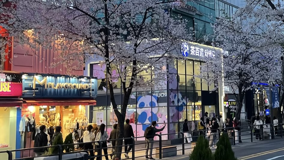 韓国語能力試験を受験しました。具体的な勉強方法や、当日の様子まで紹介します！（TOPIK6級取得）